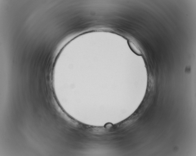 X0000111530959200908251159