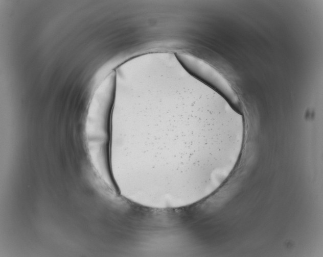 X0000111530960200908251159