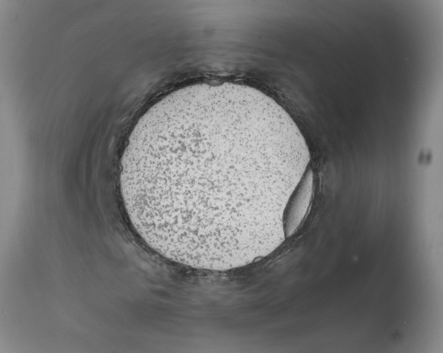 X0000111530961200908251158