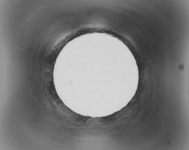 X0000111530967200908251158