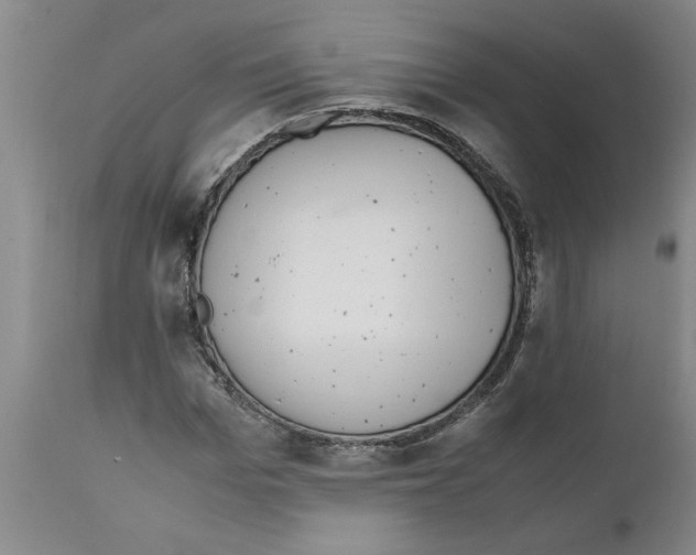 X0000111530969200908251158