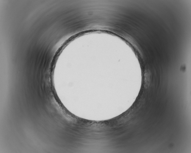 X0000111530972200908251158