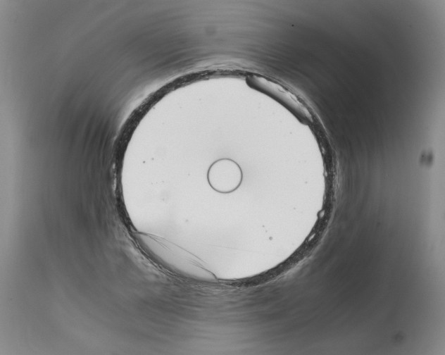 X0000111530973200908251158