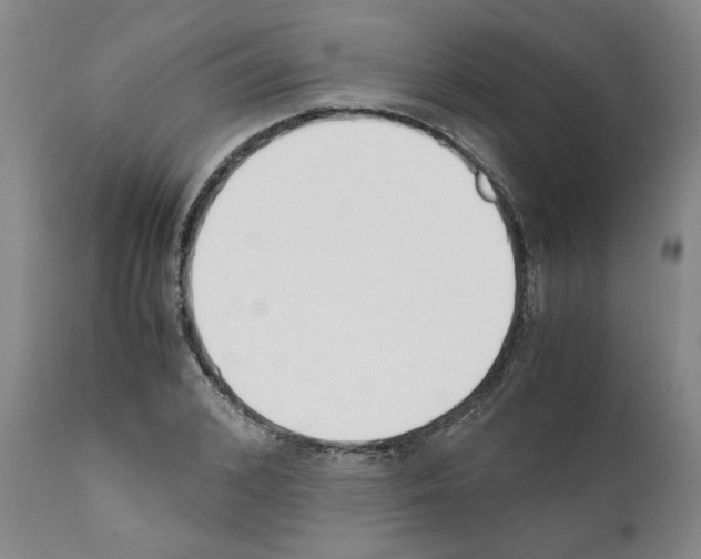 X0000111530976200908251158