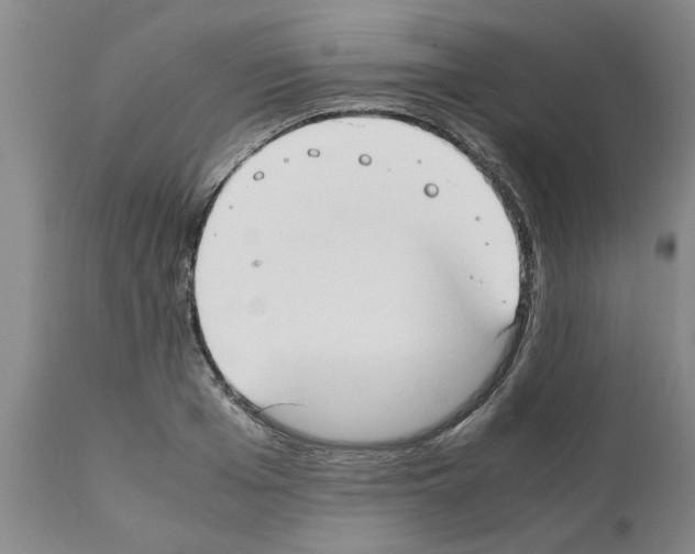 X0000111530985200908251157