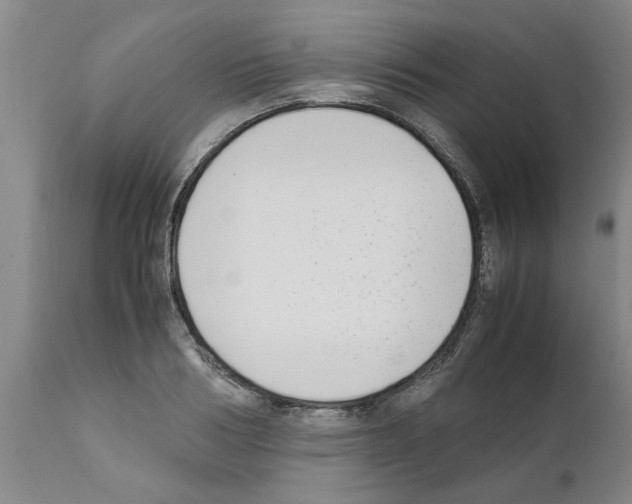 X0000111530986200908251157