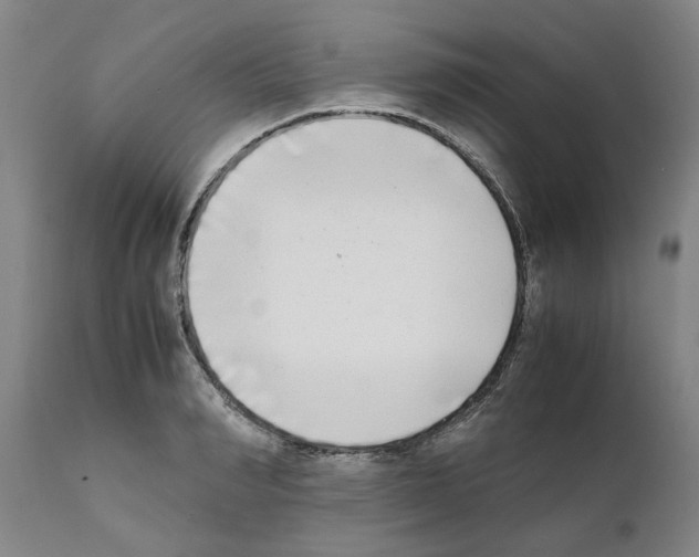 X0000111530990200908251157