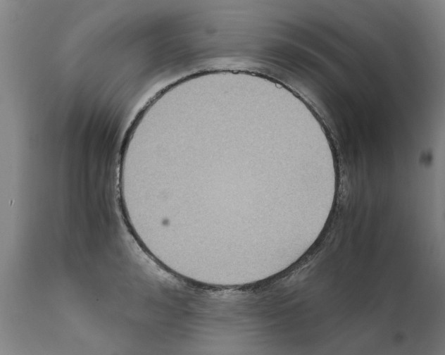 X0000111530992200908251157