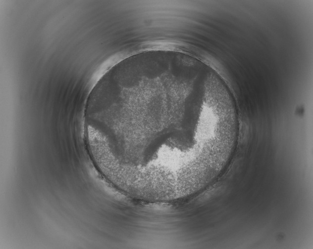 X0000111530994200908251157