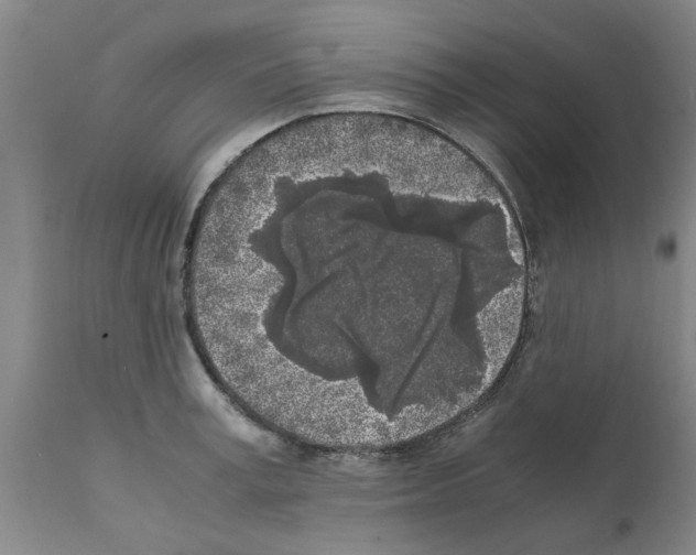 X0000111530995200908251157