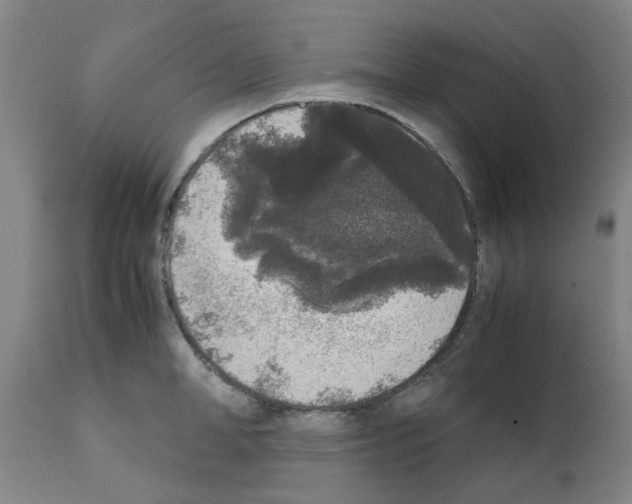 X0000111530998200908251157