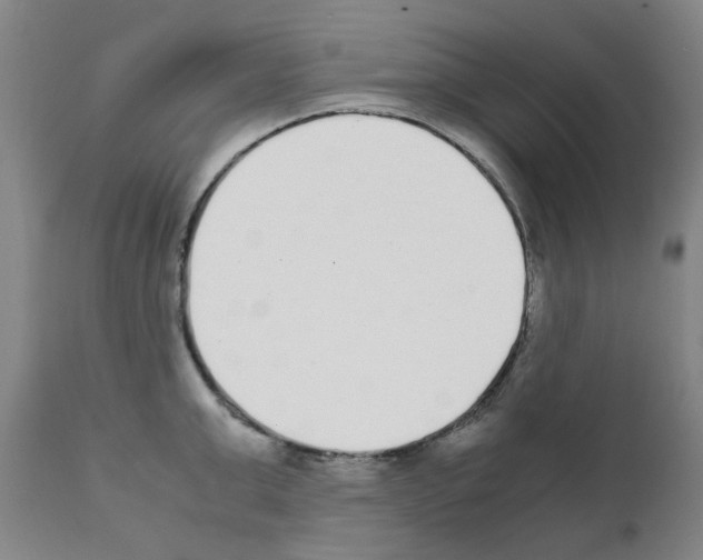 X0000111530999200908251157