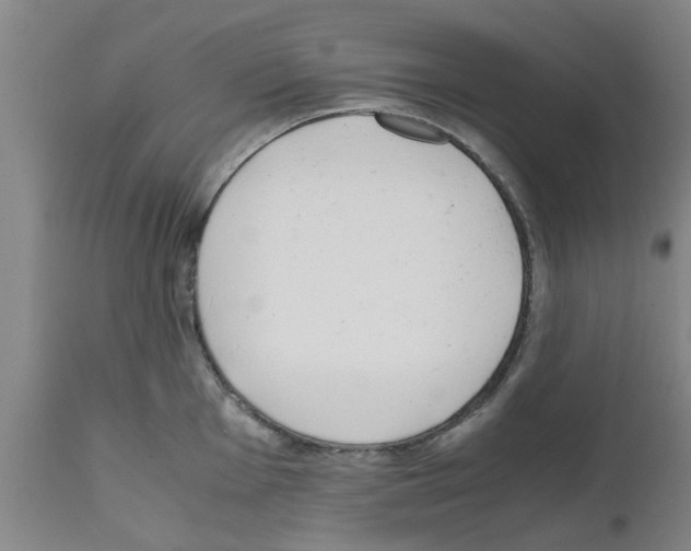 X0000111531001200908251157