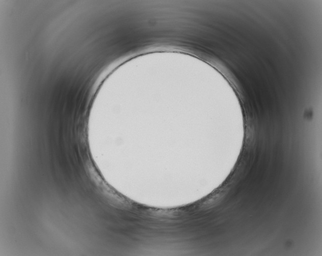 X0000111531004200908251157