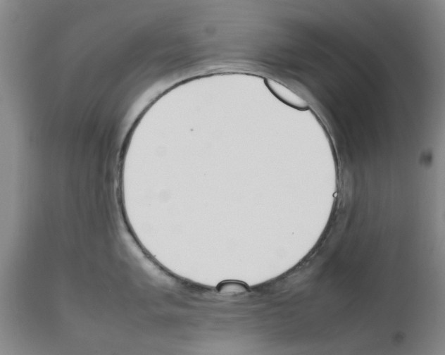 X0000111531005200908251157