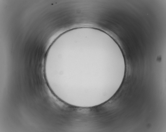 X0000111531006200908251157