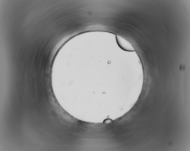 X0000111531008200908251157