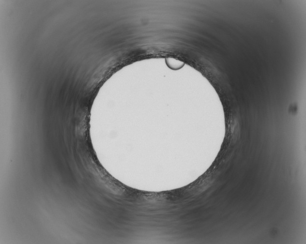 X0000111531012200908251157