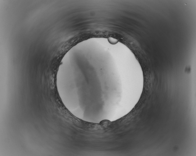 X0000111531013200908251157