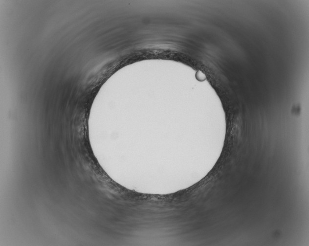 X0000111531014200908251157