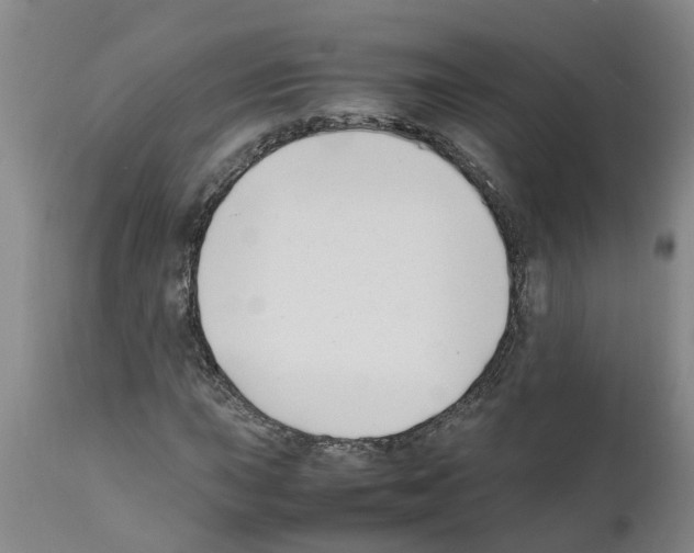 X0000111531015200908251157