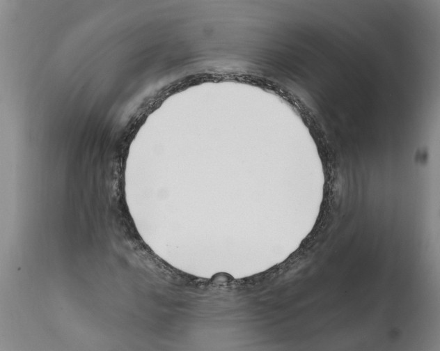 X0000111531016200908251157