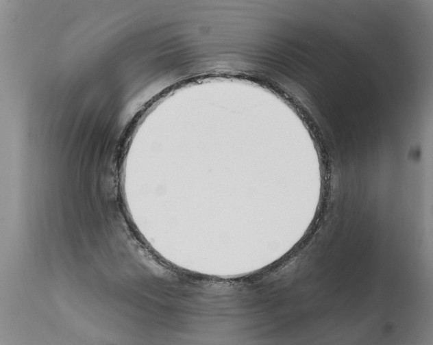 X0000111531018200908251157