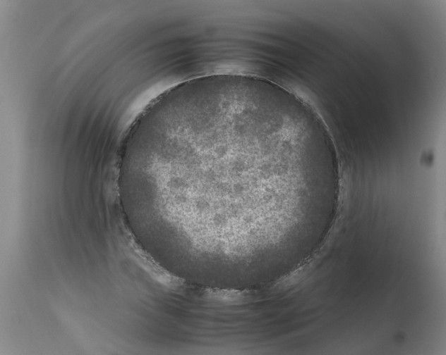 X0000111531019200908251157