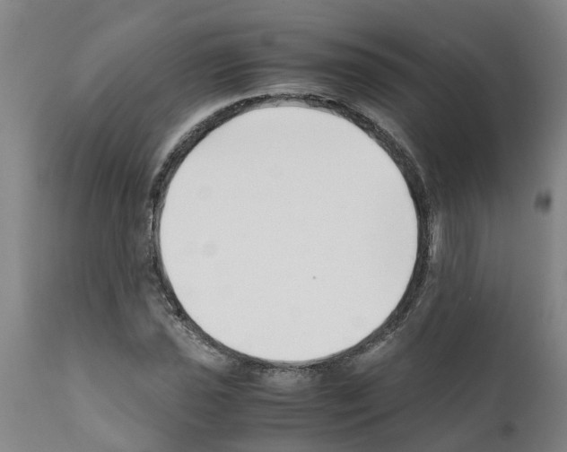 X0000111531021200908251157