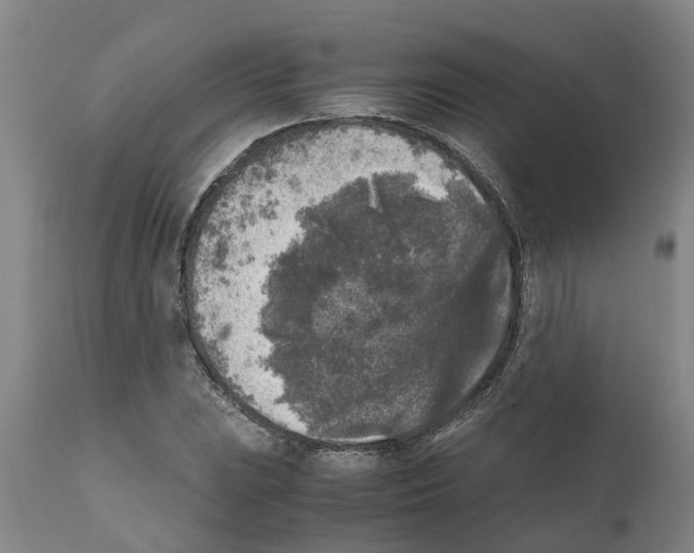 X0000111531023200908251157