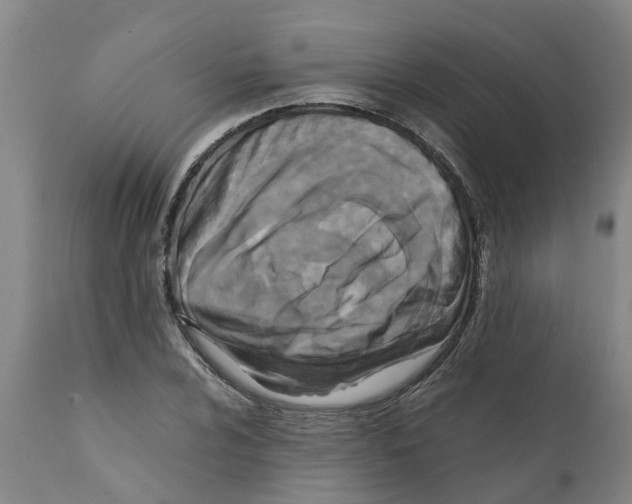 X0000111531024200908251157