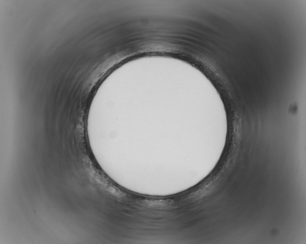 X0000111531025200908251157