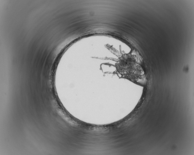 X0000111531026200908251157