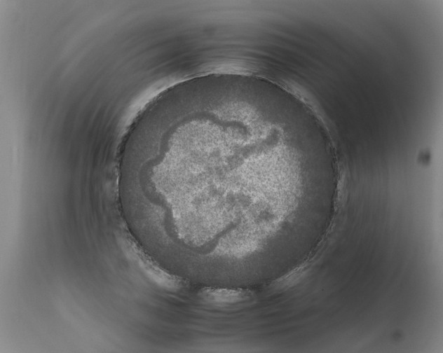 X0000111531027200908251157