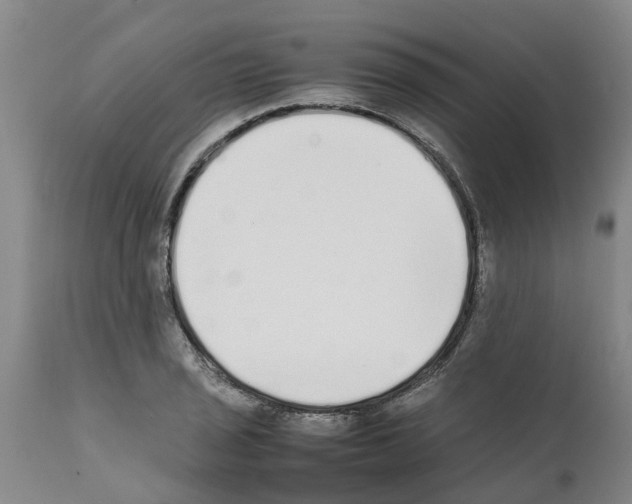 X0000111531029200908251157