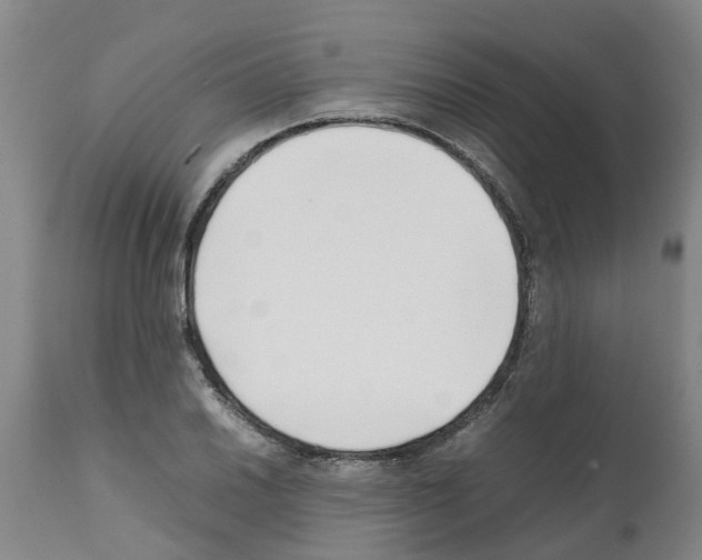 X0000111531030200908251157