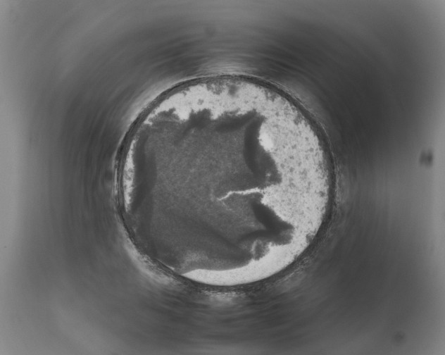 X0000111531031200908251157