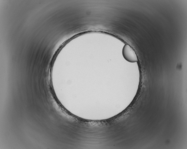 X0000111531032200908251157