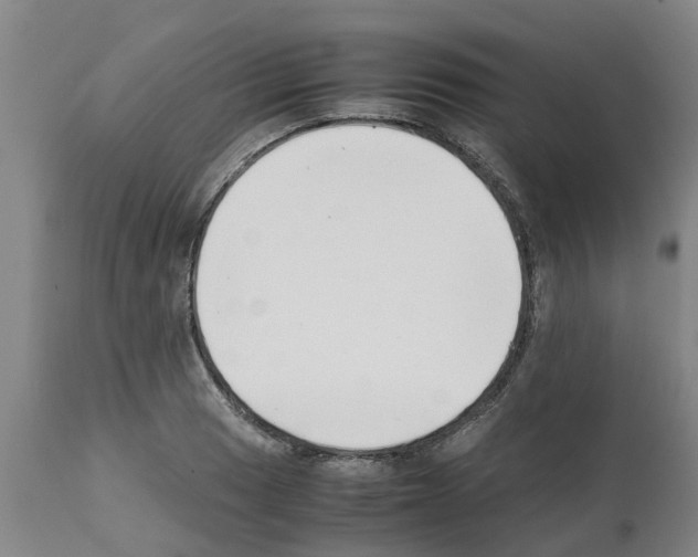 X0000111531033200908251157