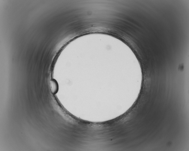 X0000111531034200908251157