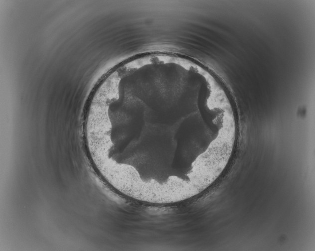 X0000111531037200908251157