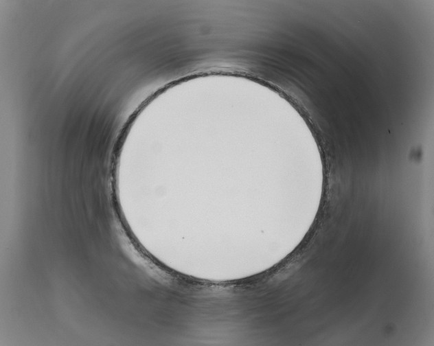 X0000111531038200908251157