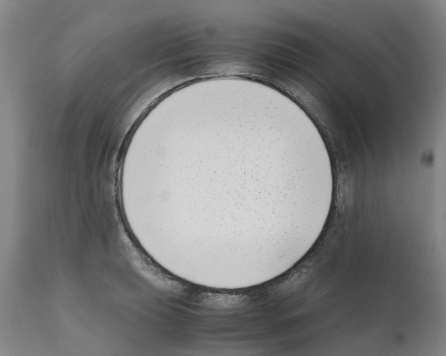 X0000111531039200908251157