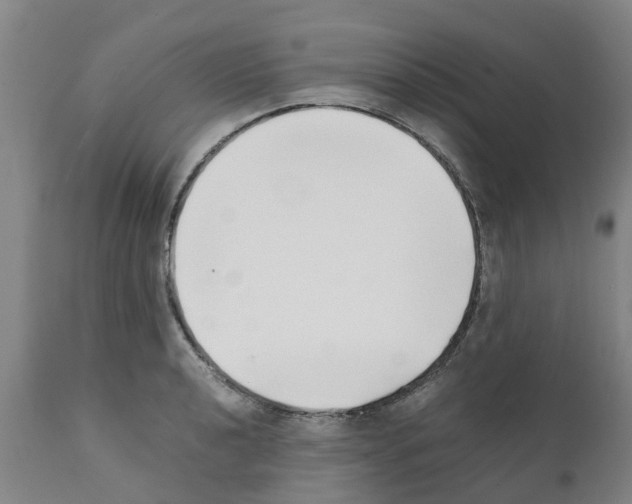 X0000111531040200908251157