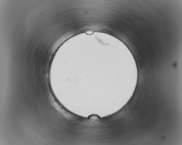 X0000111531042200908251157