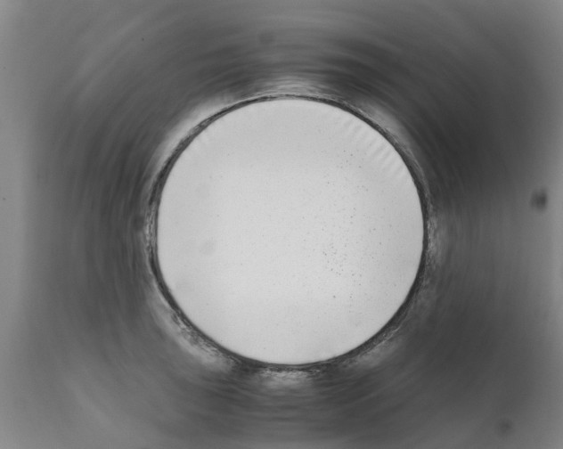 X0000111531043200908251157