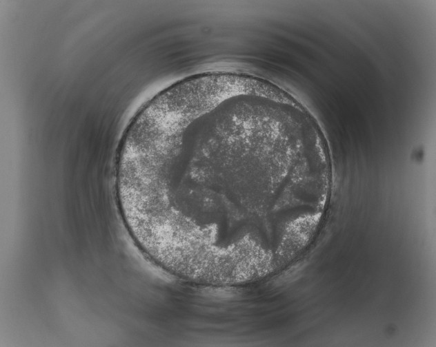 X0000111531045200908251157