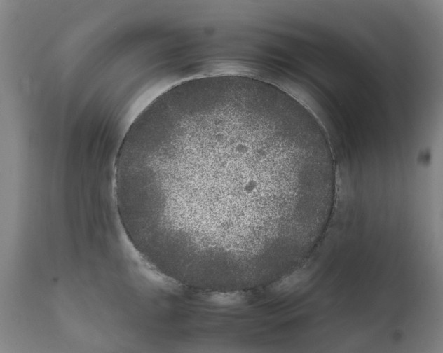 X0000111531047200908251157