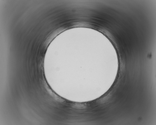 X0000111531049200908251157