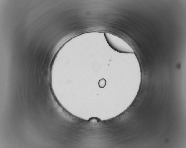 X0000111531050200908251157